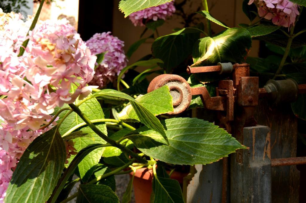 Marakasa B&B Sant Antoni De Calonge Exterior foto